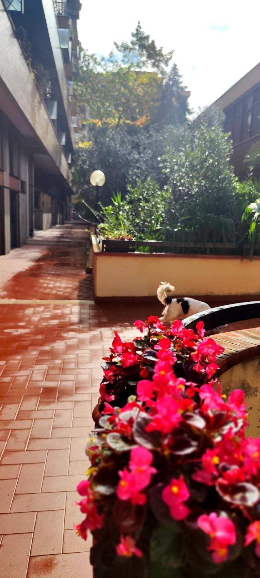 Gemme Fiorentine Apartments In Front Of The Train Station 5 Minutes From The Centre Free Parking 佛罗伦萨 外观 照片