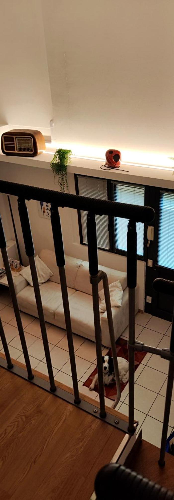 Gemme Fiorentine Apartments In Front Of The Train Station 5 Minutes From The Centre Free Parking 佛罗伦萨 外观 照片