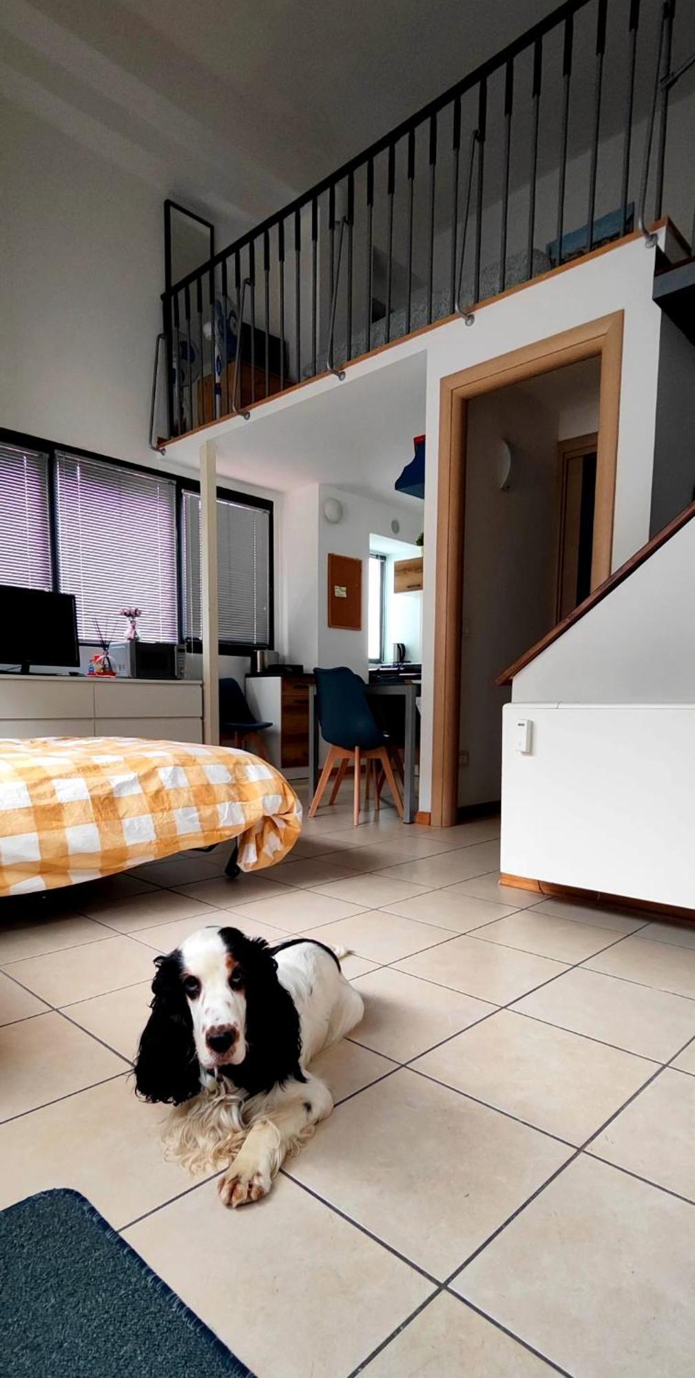 Gemme Fiorentine Apartments In Front Of The Train Station 5 Minutes From The Centre Free Parking 佛罗伦萨 外观 照片